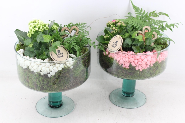 <h4>arr2 PL - Glas op Lise op voet x4 - roze/wit</h4>