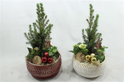 <h4>1354 Ind. Rd/gd. Ker Schaal</h4>