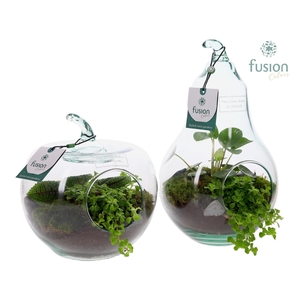 Peer en Appel glas met Groen planten