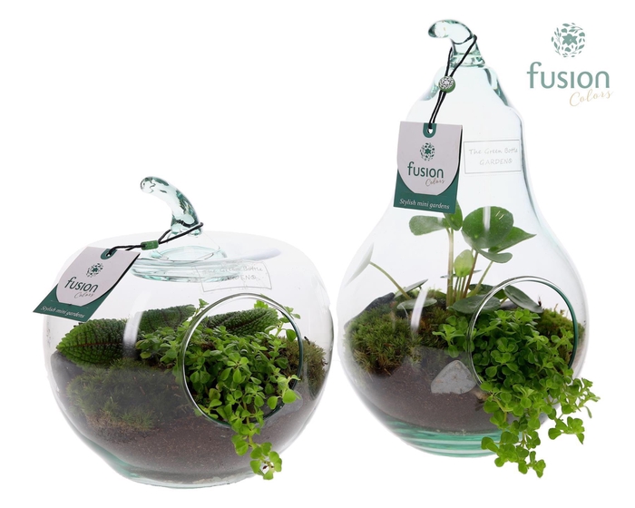 <h4>Peer en Appel glas met Groen planten</h4>