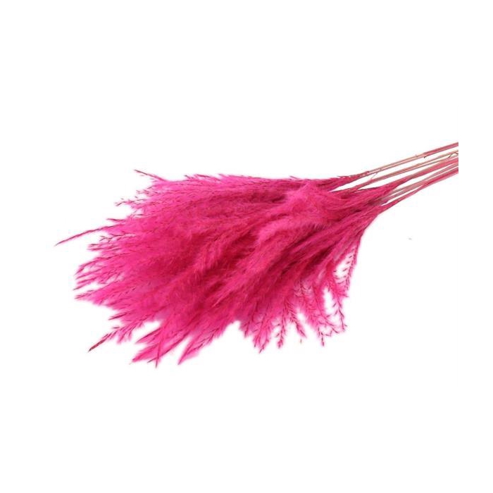 <h4>Bunch Fluffy Silver Grass 10pcs L75</h4>