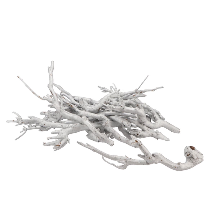 <h4>Nature Curry Bush White P/500 Gram</h4>