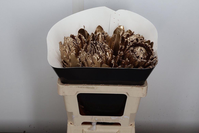 <h4>Decogroen Ov Klb H</h4>