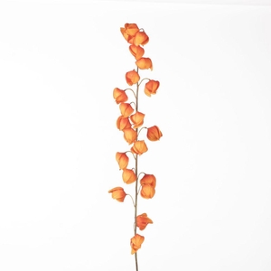 AF Physalis Spray L129cm Orang