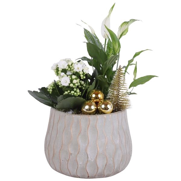 <h4>Christmas Arr. Indoor Ceramic Pure Luxury N569 Ø16cm 2PP</h4>