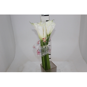 COPO DE LEITE BRANCO 060 CM