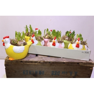 arr8 Arr Narcissus In Keramiek