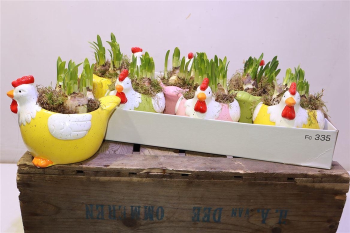 <h4>Arr Narcissus In Keramiek</h4>