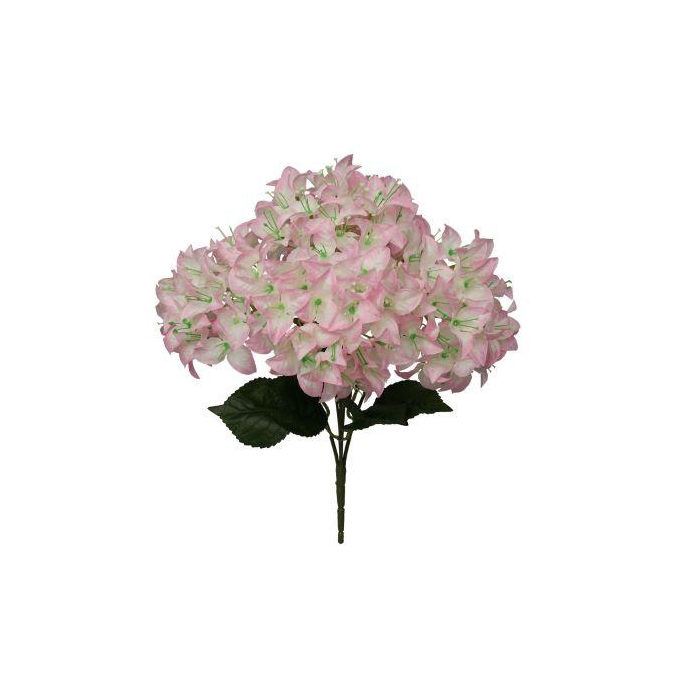<h4>Bunch Bougainvillea L46W24H24</h4>