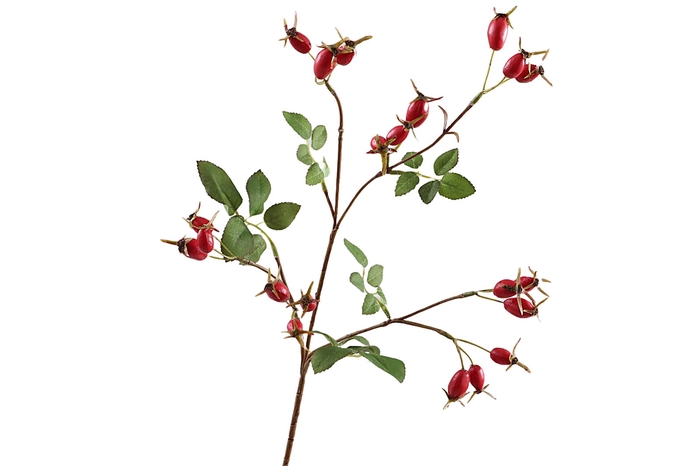 <h4>Rose Hip Spray</h4>