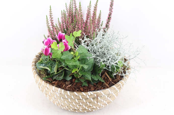 <h4>arr4 Outdoor PL - Mand rond deluxe</h4>