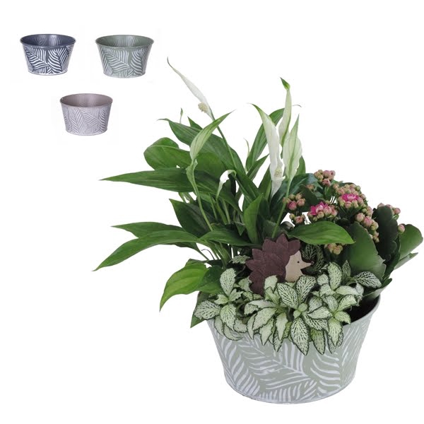 Arrangement in Zinken schaal 19 cm