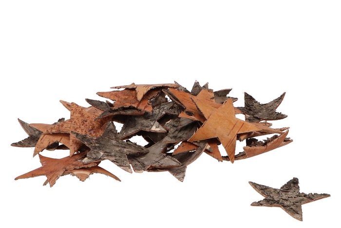 Nature Star Bark Birch 7cm P/80