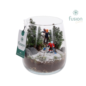 Glas Alzada klein met Kerst arrangement