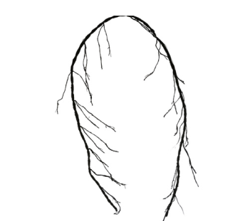 <h4>GALHO 300 CM MARROM SMO 5033 IMP</h4>