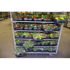 arr8 Calib C Trio Mixk 1 Klr Per Tray