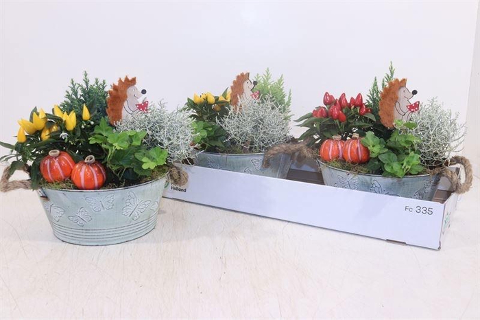 <h4>ARR TUINPLANTEN</h4>
