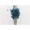 Dreid Lagurus Bleached Blue Bs