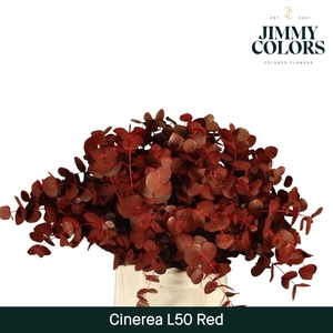 Cinerea l50 Rood