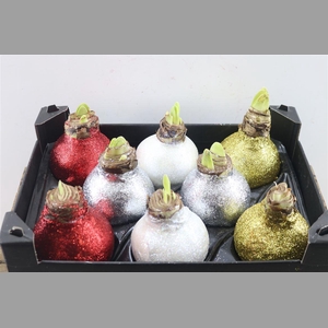 Wax Hipp Topline Gl Mix