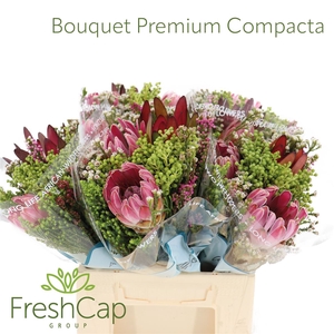 Bouquet Compacta 2pt