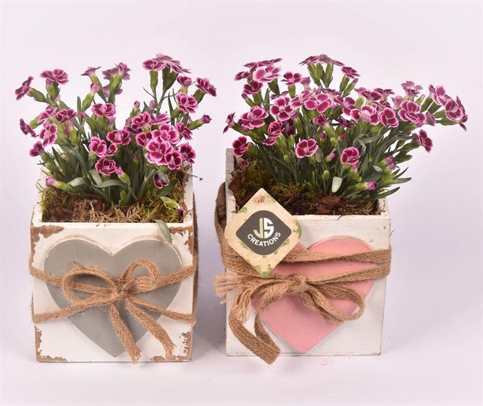 <h4>Hout vierk hart en touw 12x12cm</h4>