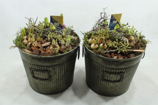 G253 ZINK EMMER HOOG BM