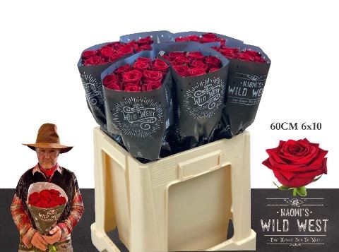 <h4>Rosa GR 'Red Naomi!' Wild West</h4>