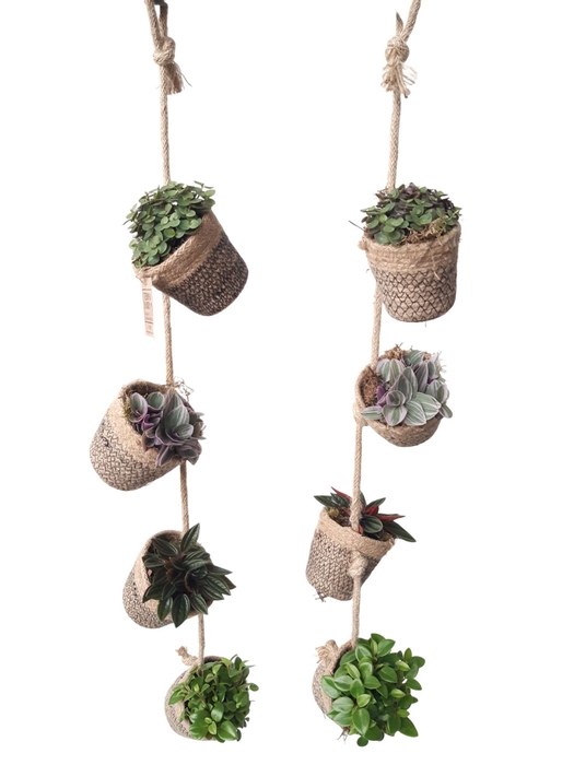 <h4>Arr.   Kamerplant Groen L%</h4>