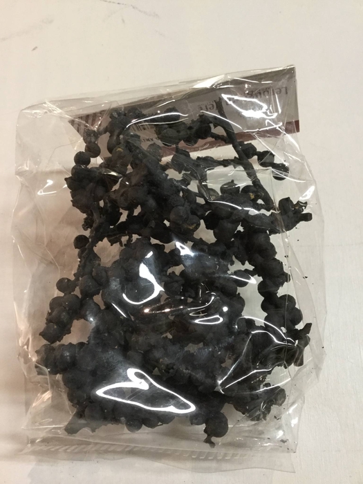 CANELLA BIG ANTRACIET 50gr