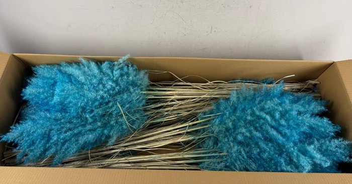 <h4>Df Pampas 115cm Turquoise</h4>