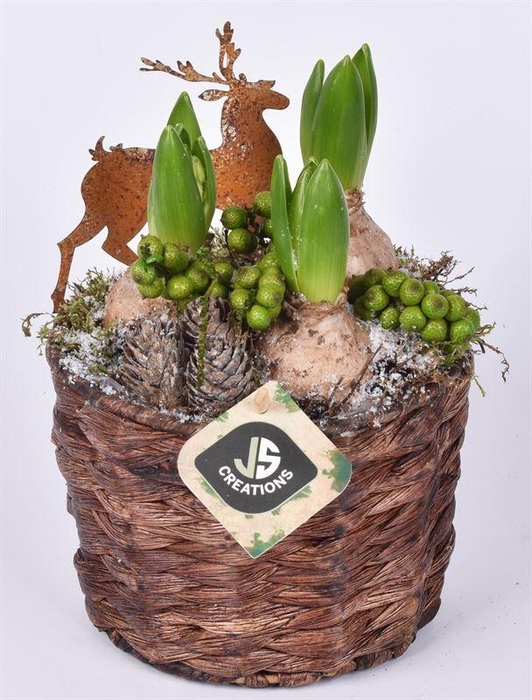 Mais mand bruin 15cm