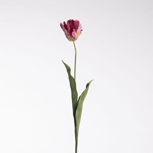 AF Tulip Parrot L83cm Pink