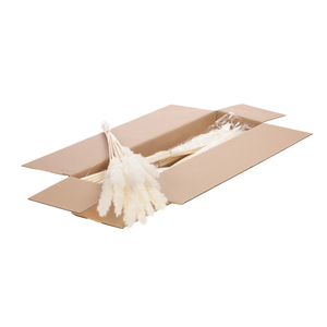 Reed Bunch 20pc 70cm Sb Bleached White