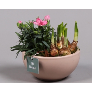 Schaal keramiek Moon Small blush pink Voorjaar met Arrangement