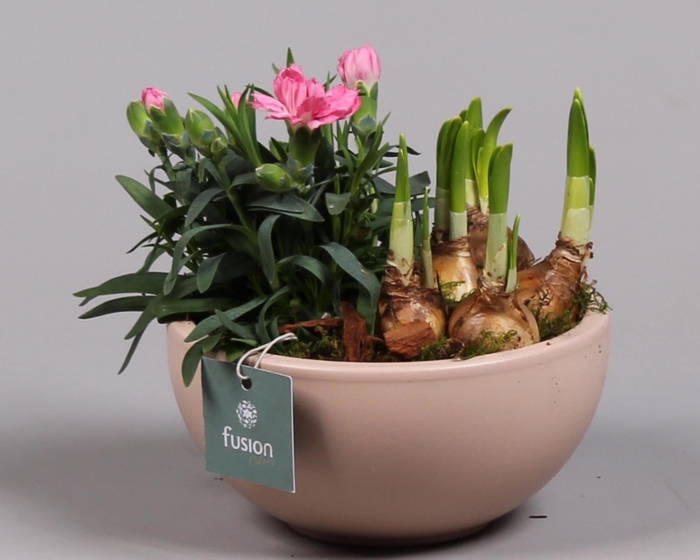 <h4>Schaal keramiek Moon Small blush pink Voorjaar met Arrangement</h4>