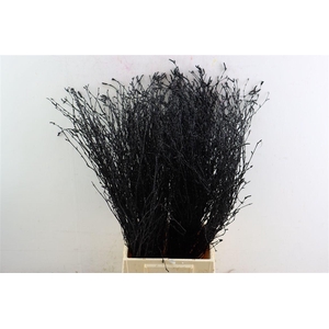 Berk 70cm Gl Zwart Pbs