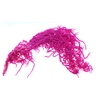 Dried Bleached Amaranthus Caudatus Cerise