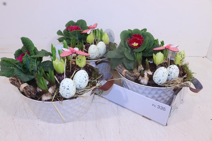 <h4>ARR TUINPLANTEN</h4>