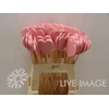 DECO stick heart wooden pink
