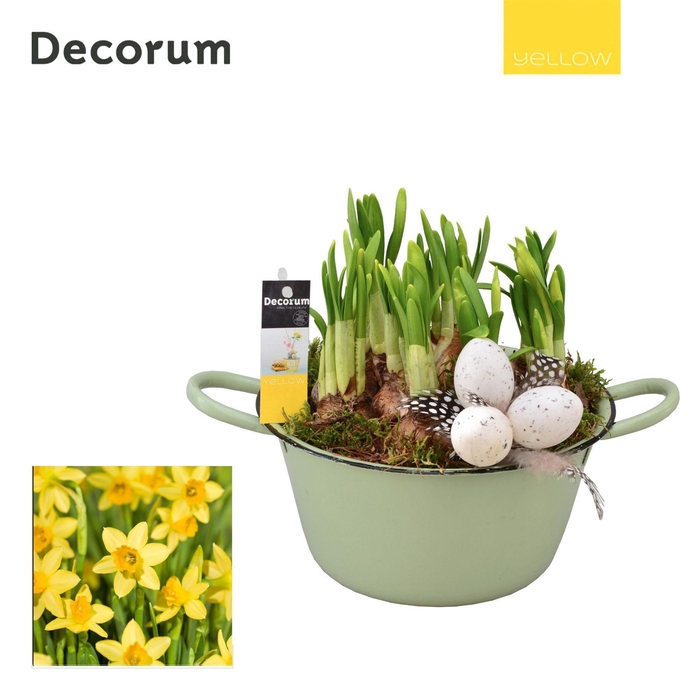 <h4>Narcis Bol en émail HL10575 [YELLOW]</h4>