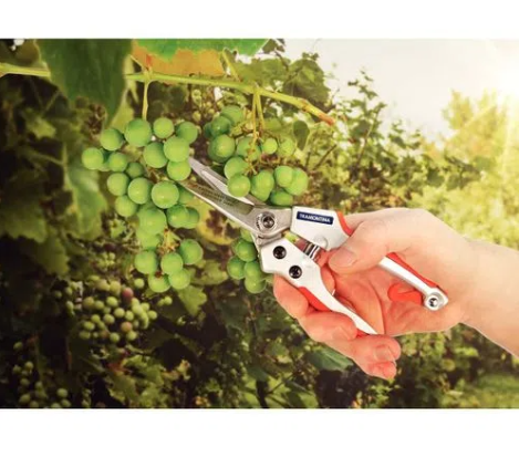 TESOURA DE RALEIO PROFISSIONAL 78316/520