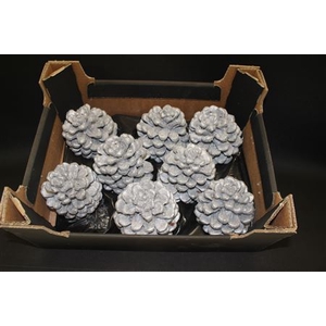 Pinea Zilver Glitter