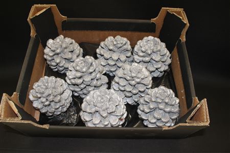 <h4>Pinea Zilver Glitter</h4>