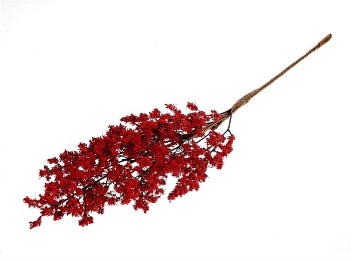 <h4>Deco Stem Moss Red 50gr L75</h4>