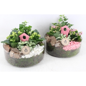 arr2 PL - Glas cilinder XL x2 - roze/wit