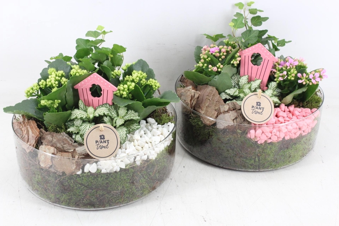 <h4>arr2 PL - Glas cilinder XL x2 - roze/wit</h4>