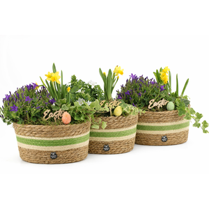 70893: Easter outdoor arrangement