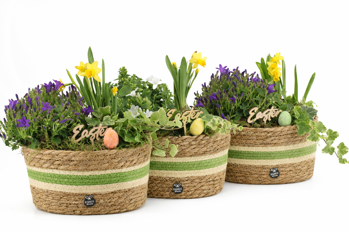 <h4>70893: Easter outdoor arrangement</h4>