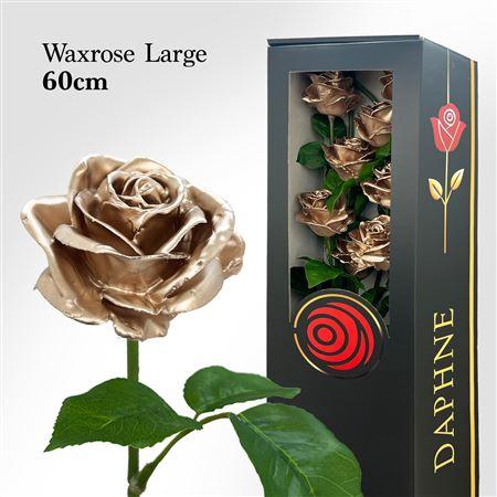 <h4>Wax Rose L Champagne 60cm</h4>